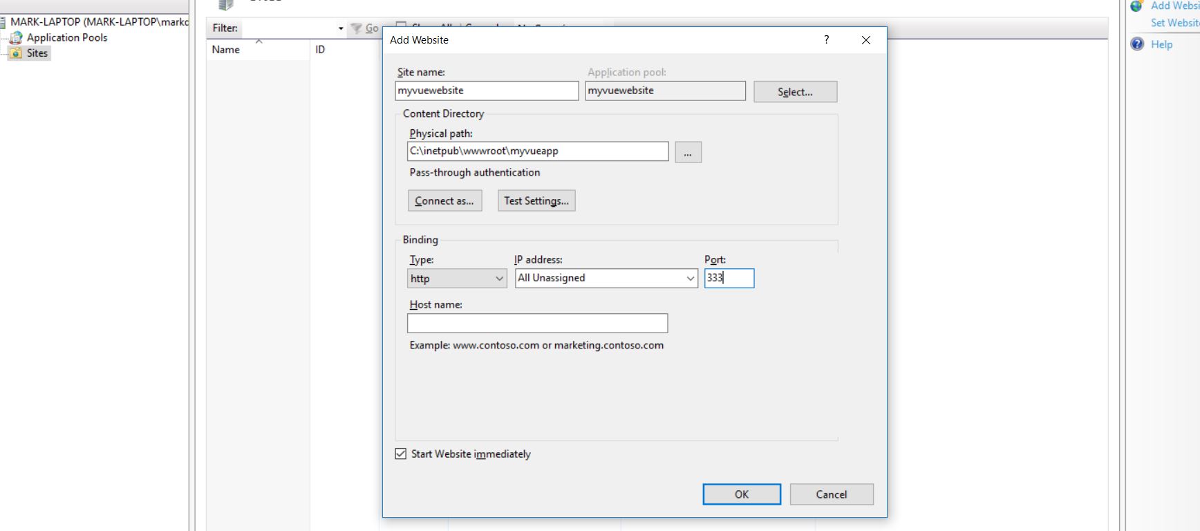 Host Vue.JS on IIS | Mark Deanil Vicente