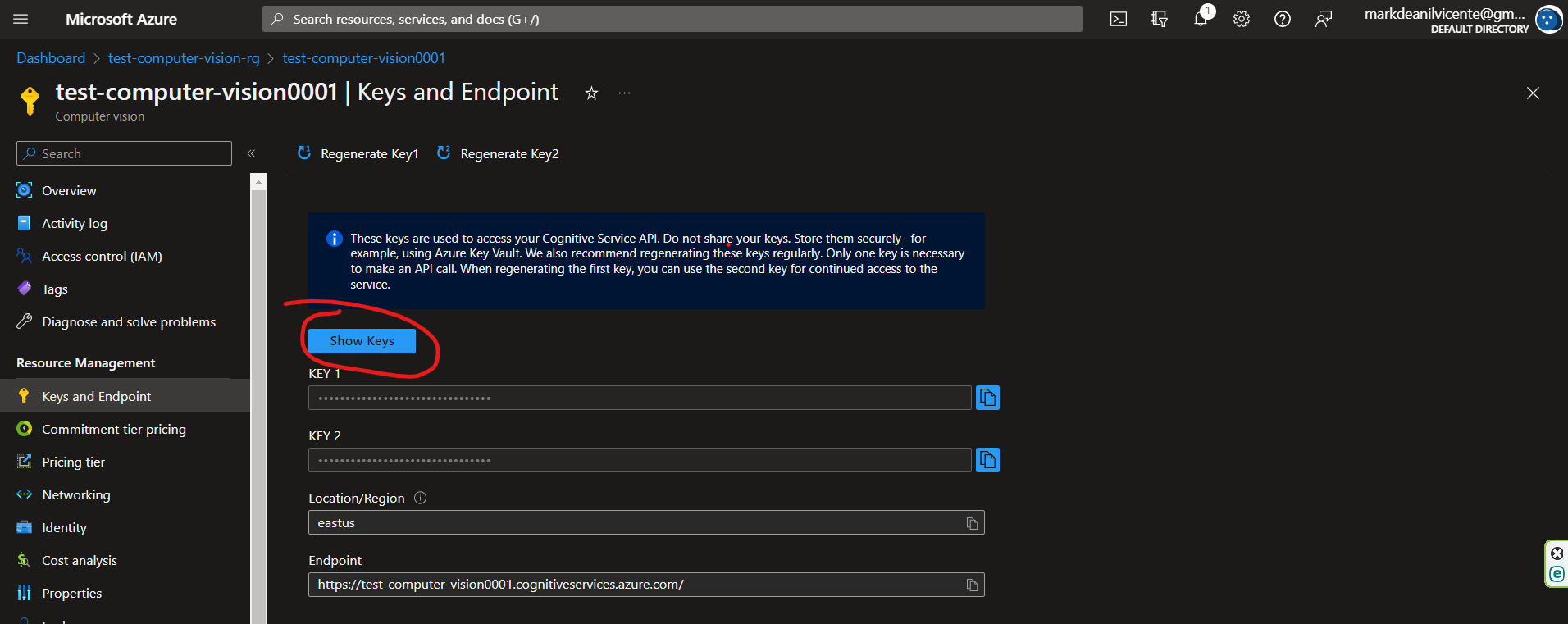 Analyze Image in React.JS using Azure Computer Vision - dnilvincent.net